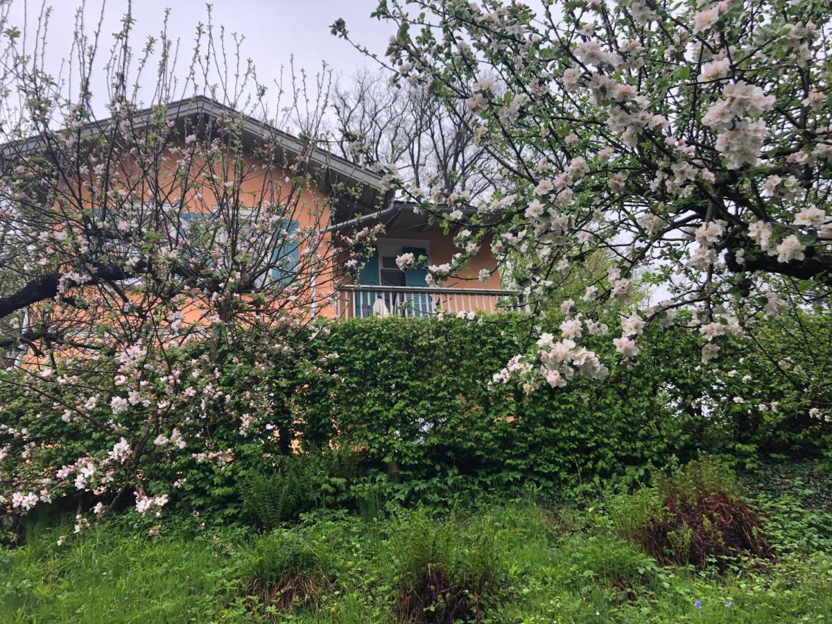 Ferienhaus 艾森纳赫 外观 照片